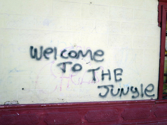 White brick wall in black spray paint is written "Welcome to the Jungle"